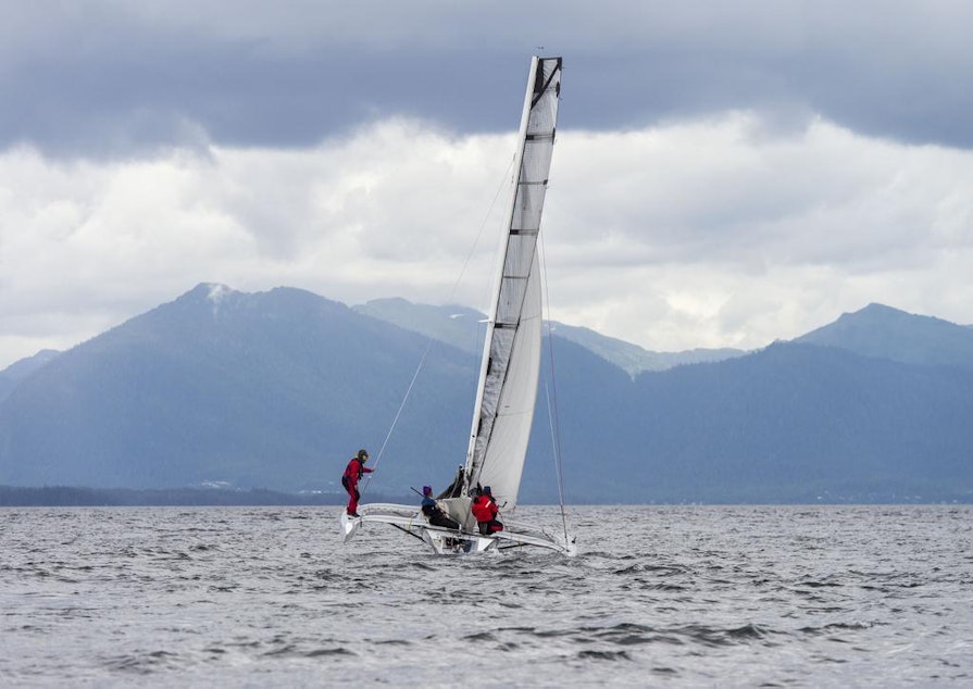 caption: Team Elsie Piddock sails up Nichols Passage south of Ketchikan on the way to winning the Race to Alaska.