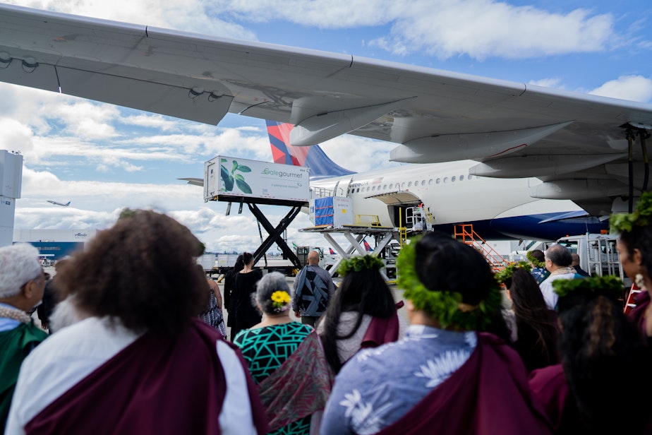 caption: Delegates and practitioners watch as a container holding remains and artifacts is loaded into a plane that will take them home.   
