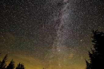 caption: In this 30 second exposure, a meteor streaks across the sky during the annual Perseid meteor shower on Aug. 10, 2021, in Spruce Knob, West Virginia.