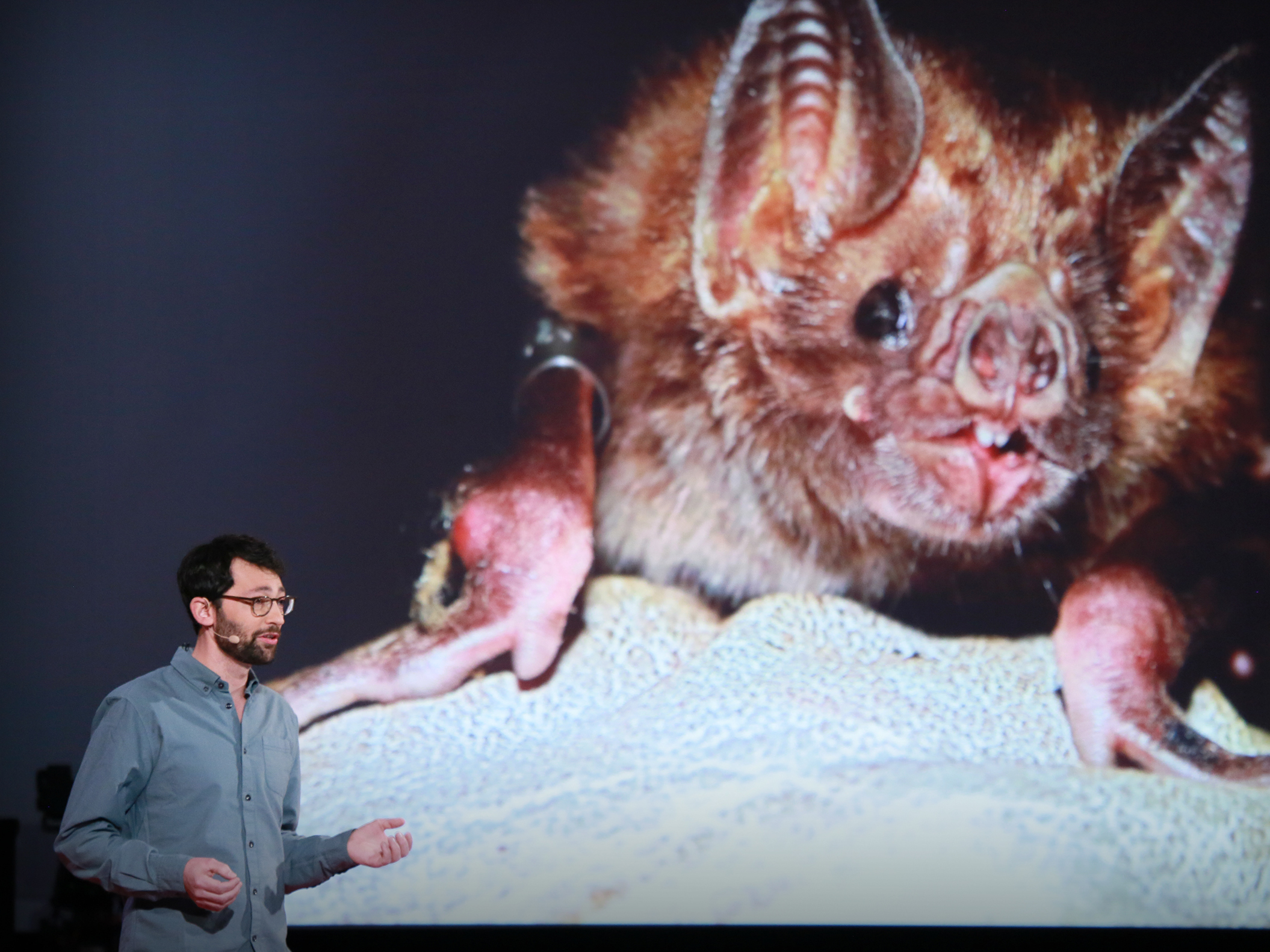 caption: Daniel Streicker