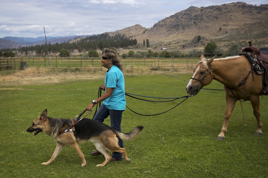 caption: Julie Hensley walks with her seeing eye dog, Fonzie, a 7-year-old german shepherd, and her horse, Hot Rod, after riding in her arena, on Monday, July 15, 2019, at her home in Brewster. 