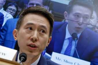 caption: TikTok CEO Shou Zi Chew testifies before the House Energy and Commerce Committee on Capitol Hill on March 23, 2023. The hearing was a rare opportunity for lawmakers to question the leader of the short-form social media video app about the company's relationship with its Chinese owner, ByteDance, and how they handle users' sensitive personal data.