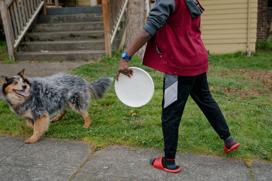 caption: Getahun plays frisbee with his dog on Sunday, March 13, 2022, in Seattle, Washington.