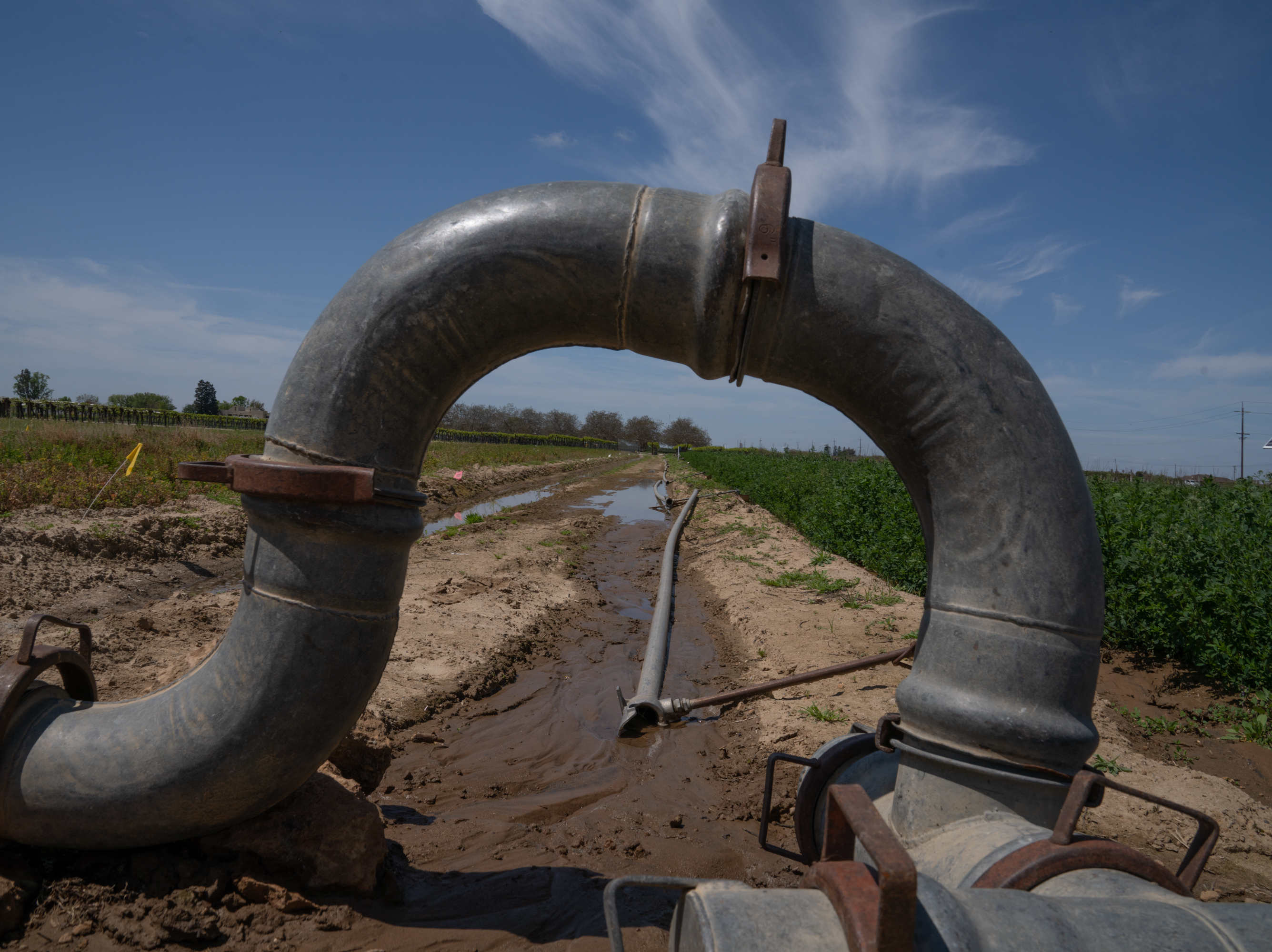 caption: Pipes direct water into an irrigation project held by the University of California. After a few decades of not enough water California water officials are scrambling to catch as much of this year's floodwaters as they can.