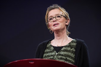 Anne Lamott speaks at TED