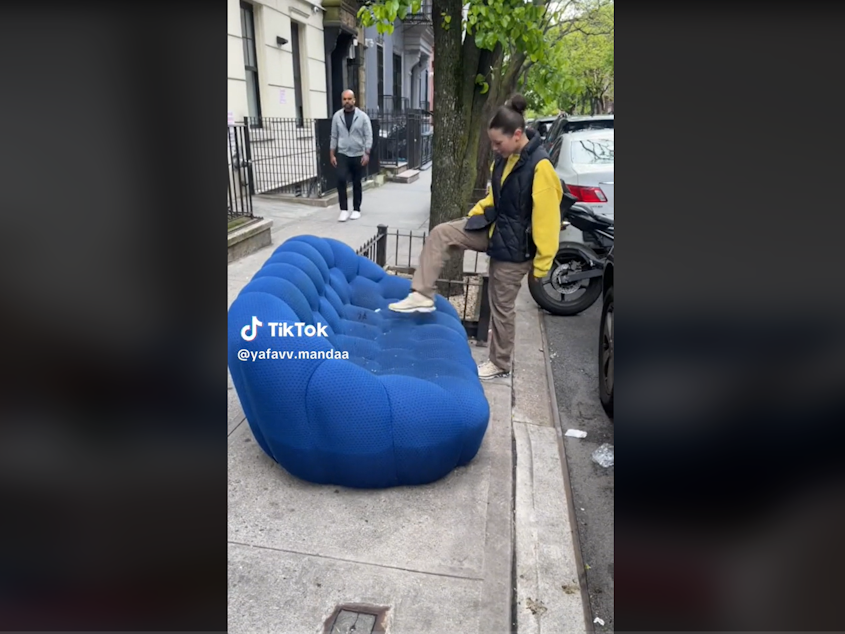 caption: A screenshot shows TikTok user yafavv.mandaa finding a blue couch on a New York City street. The video spurred questions about whether the sofa might have bed bugs.