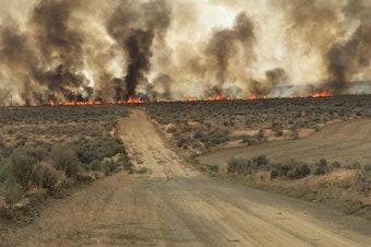 Douglas Complex Wildfire
