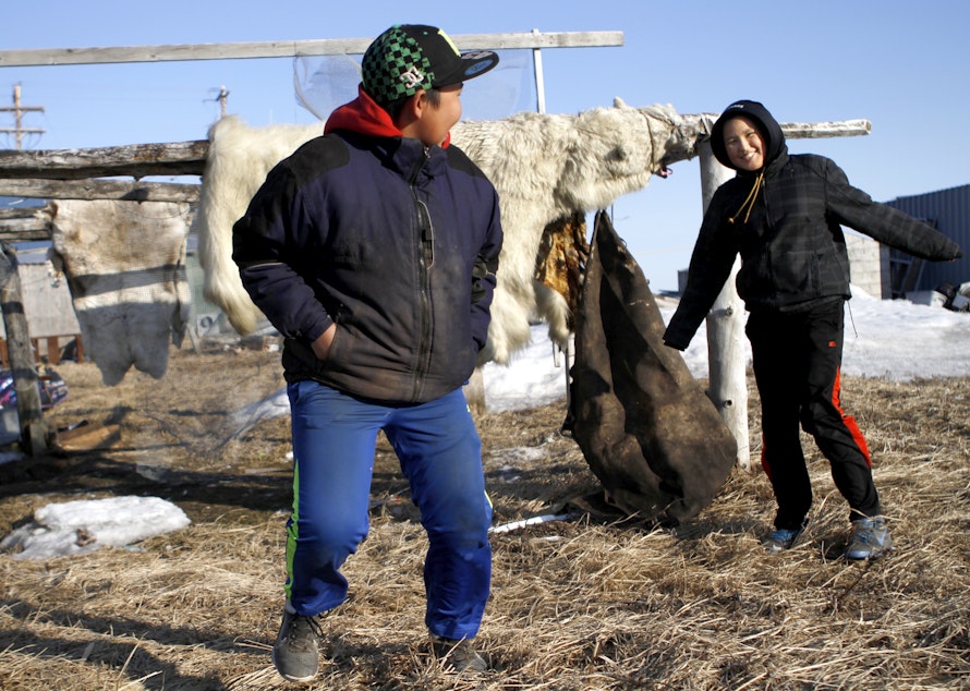 caption: Two teenagers in Kivalina, Alaska, play near a skinned polar bear. Scientists predict Kivalina, an Alaskan village, will be the first casualty of climate change and sea rise in the U.S.