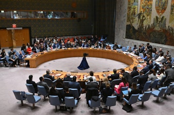 caption: The United Nations Security Council meets on the situation in the Middle East, including the war in Gaza, at U.N. headquarters in New York on Monday.