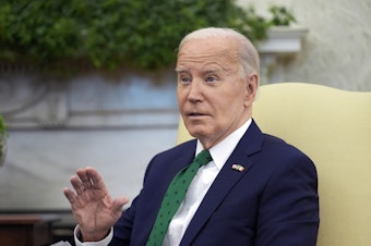 caption: President Joe Biden meets with Irish Prime Minister Leo Varadkar in the Oval Office of the White House, Friday, March 15, 2024 in Washington.