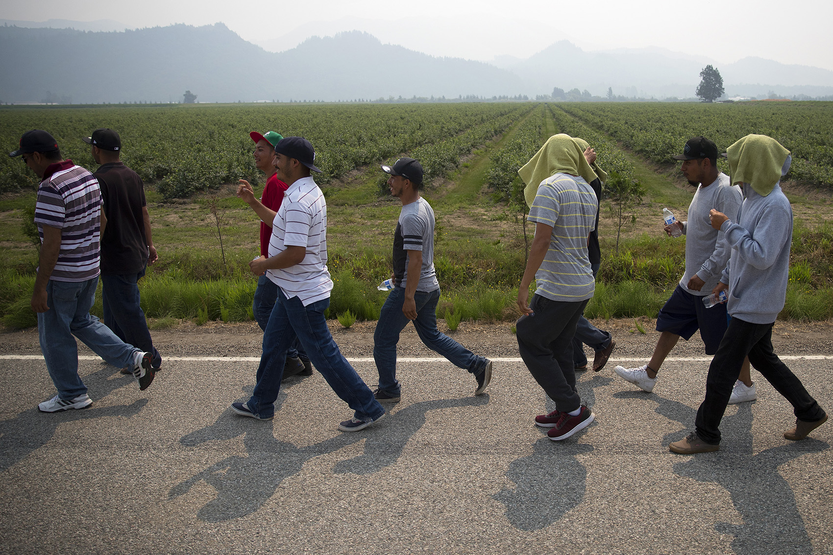 caption: Farmworkers march in protest on August 8, 2017, near Sarbanand Farms in Sumas. 
