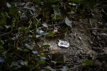 caption: Tinfoil left behind from fentanyl use is shown on Tuesday, May 16, 2023, in Port Angeles.
