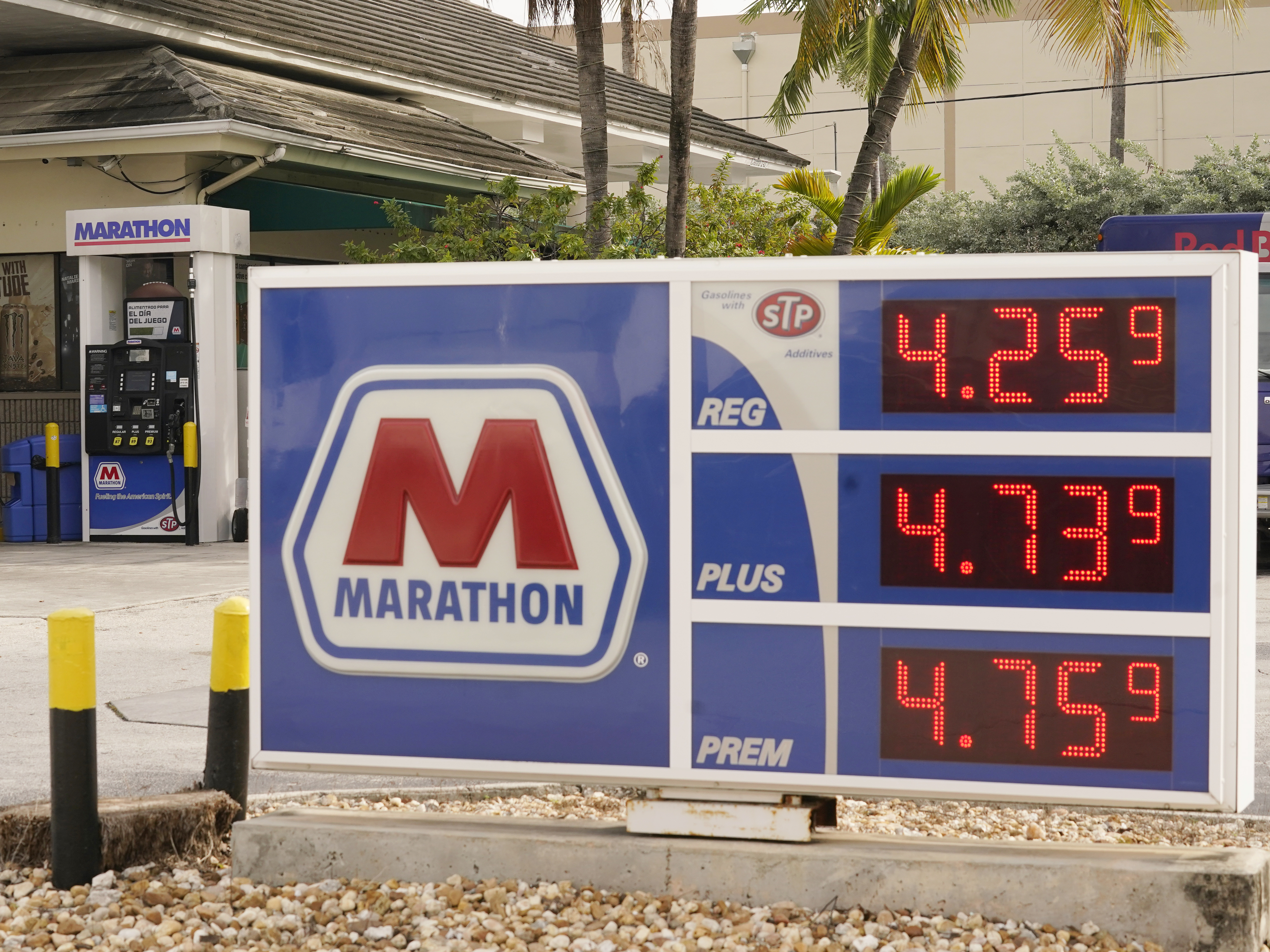 caption: Gasoline prices on Nov. 17 in Miami Beach, Fla. The White House says oil prices have come down as speculation grew that the United States and other consumers would tap their reserves.