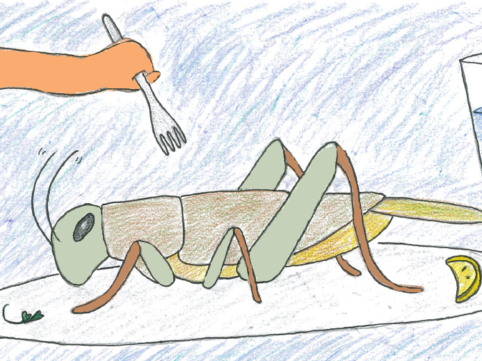 caption: Would you eat a cricket?