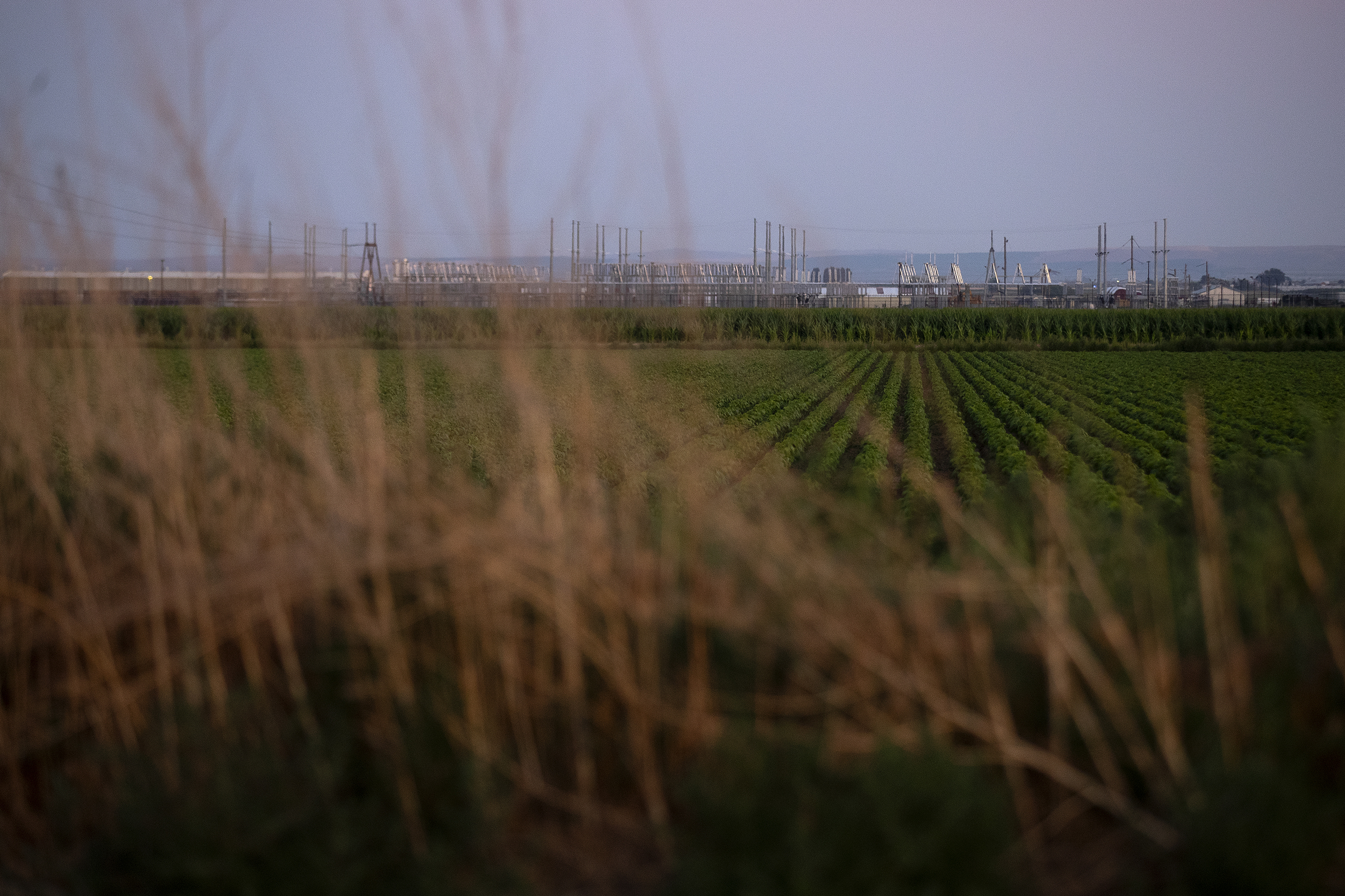 caption: A Microsoft data center is shown adjacent to fields of crops on Thursday, July 17, 2025, in Quincy, Washington. KUOW Photo/Megan Farmer 