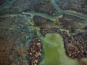 caption: In Nigeria's oil-rich Niger Delta, oil bunkering — the practice of siphoning oil from pipelines — has transformed parts of the once-thriving delta ecosystem into an ecological dead zone, <a href="https://postconflict.unep.ch/publications/OEA/UNEP_OEA.pdf">according to the U.N. Environment Programme</a>.