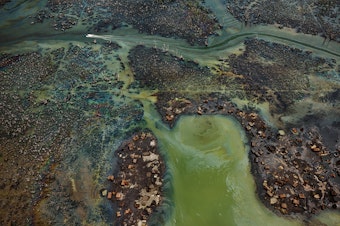 caption: In Nigeria's oil-rich Niger Delta, oil bunkering — the practice of siphoning oil from pipelines — has transformed parts of the once-thriving delta ecosystem into an ecological dead zone, <a href="https://postconflict.unep.ch/publications/OEA/UNEP_OEA.pdf">according to the U.N. Environment Programme</a>.