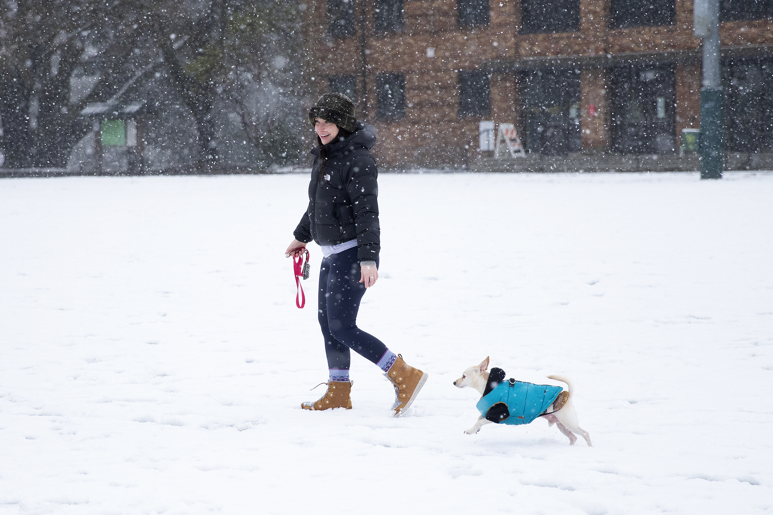caption: Kiah Stone-Dazey plays with her dog, Mojo, in the snow at Hiawatha Playfield on Friday, March 13, 2026, in West Seattle. 