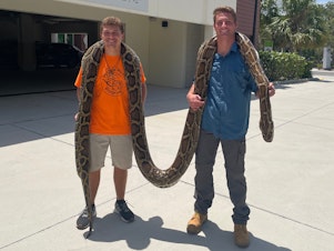 caption: Stephen Gauta (left) and Jake Waleri brought the 19-foot python to the Conservancy of Southwest Florida in Naples, Fla., to have it measured and donated for studies.