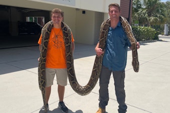 caption: Stephen Gauta (left) and Jake Waleri brought the 19-foot python to the Conservancy of Southwest Florida in Naples, Fla., to have it measured and donated for studies.