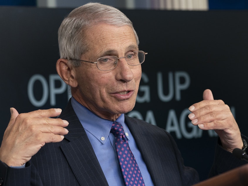 caption: Dr. Anthony Fauci, director of the National Institute of Allergy and Infectious Diseases, speaks during a news conference at the White House on April 16.