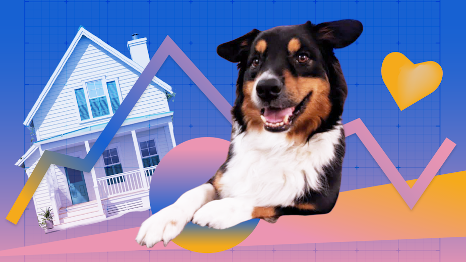 caption: Collage of Betelguese the dog, a house, and graph paper. Photos courtesy of Istock and Teo Popescu.