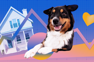 caption: Collage of Betelguese the dog, a house, and graph paper. Photos courtesy of Istock and Teo Popescu.