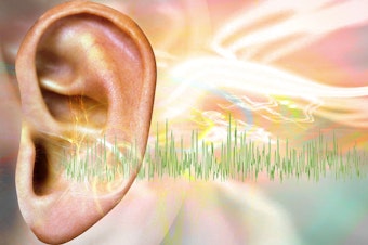 caption: An experimental gene therapy tested in young children with an inherited form of deafness restored some hearing for most of them.