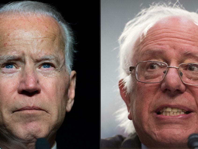 caption: Former Vice President Joe Biden (left) and Sen. Bernie Sanders of Vermont are putting forward very different visions in the Democratic presidential primary.