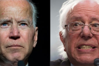 caption: Former Vice President Joe Biden (left) and Sen. Bernie Sanders of Vermont are putting forward very different visions in the Democratic presidential primary.