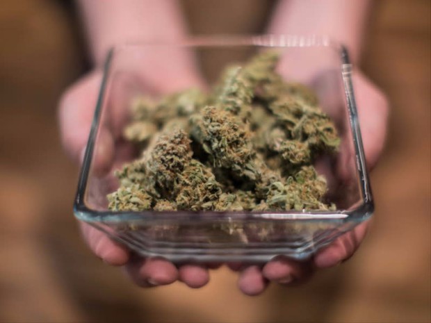 caption: <p>As the industry expands in Oregon, more people are paying attention to the environmental impact of cultivating cannabis.&nbsp;</p>