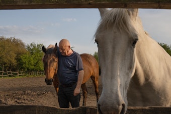 caption: Yuriy Kopishynskyi stands with a horse at his family's horseback riding school on Khortytsia, an island on the Dnipro River just outside Zaporizhzhia, Ukraine.