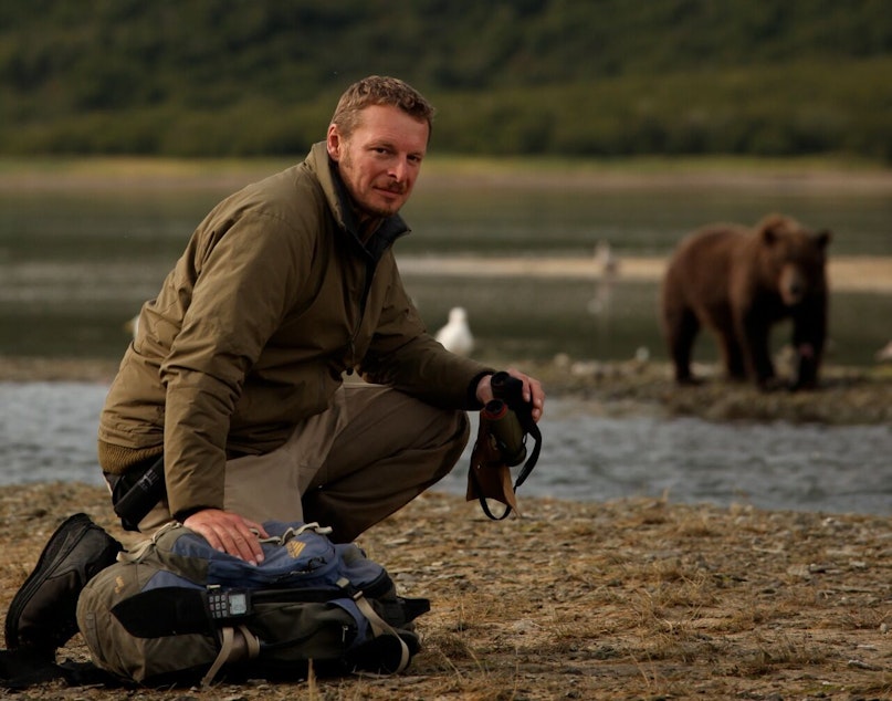 caption: Host Chris Morgan among the bears he loves on the Alaska Peninsula - one of the densest brown bear populations on earth. Here the bears seem to extend their social tolerance of each other to people as well.