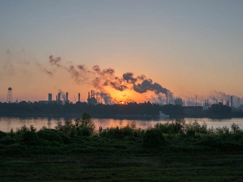 caption: A stretch of the Mississippi River from New Orleans to Baton Rouge, La., that is crowded with chemical plants has been called "Cancer Alley" because of the health problems there.