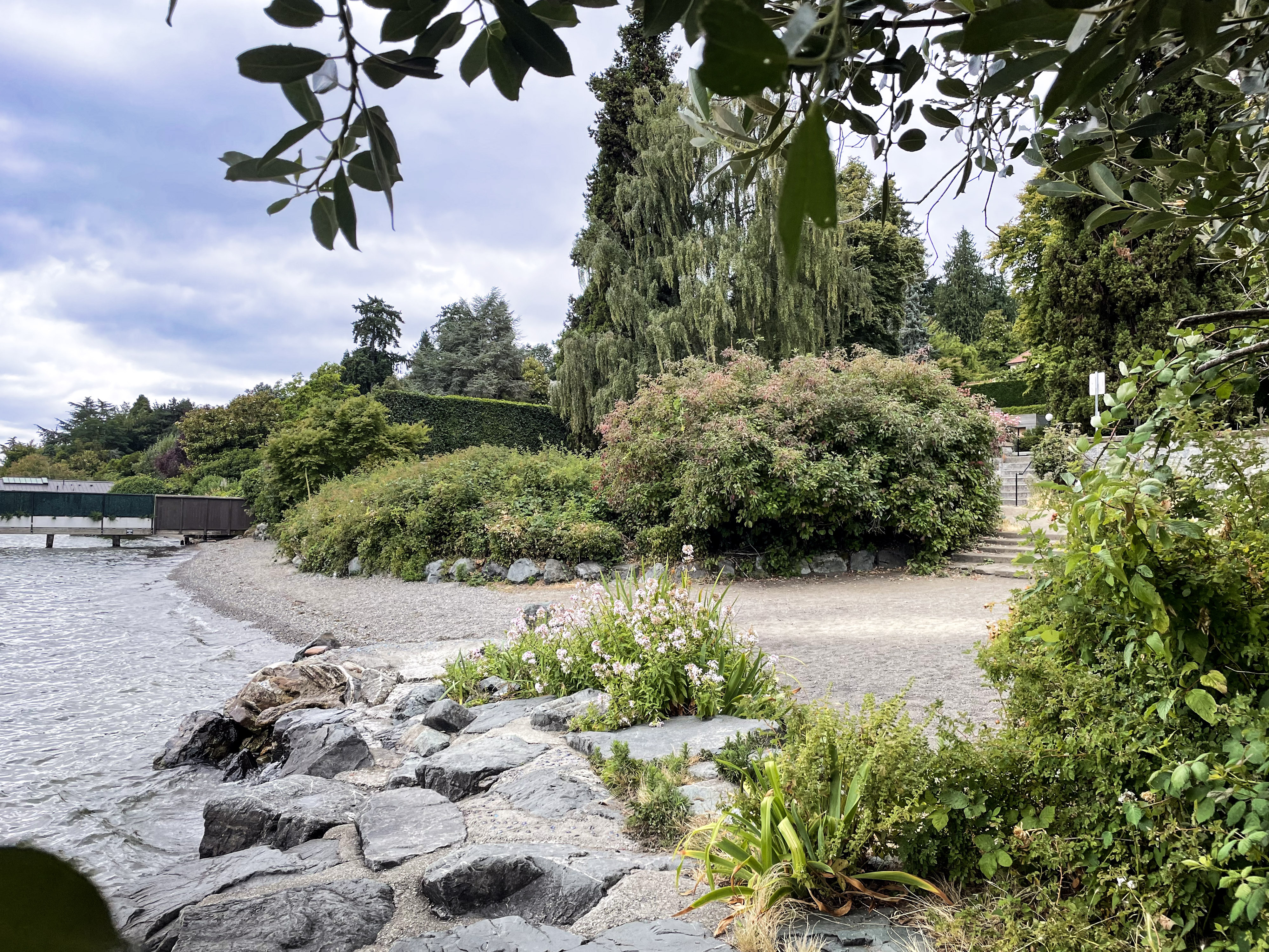 caption: A view of the steps and foliage leading down to Denny Blaine Park in Seattle. 