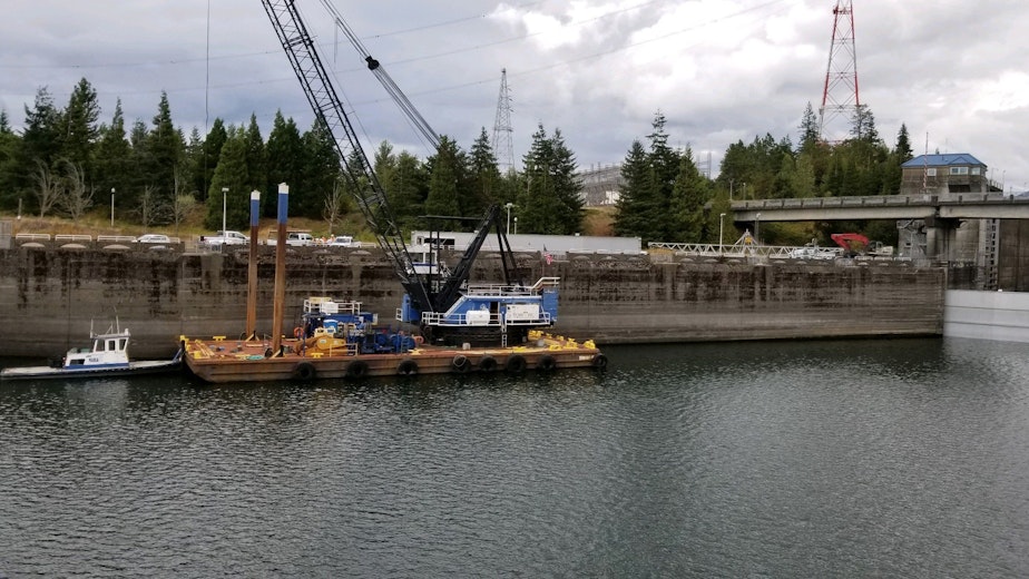 caption: This Sunday, Sept. 8, 2019 photo provided by the U.S. Army Corps of Engineers shows a boat lock on the Bonneville Dam on the Columbia River that connects Oregon and Washington at Cascade Locks., Ore.