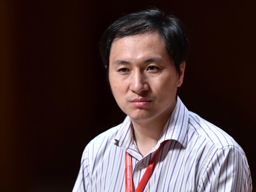 caption: There has been a backlash since Chinese scientist He Jiankui's claimed that he edited genes in embryos that became twin girls.