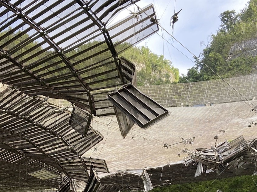 caption: In August a broken cable that supported a metal equipment platform created a 100-foot (30-meter) gash to the Arecibo radio telescope's reflector dish. Giant, aging cables that support the radio telescope are in danger of failing, and the National Science Foundation has announced the telescope will be dismantled.