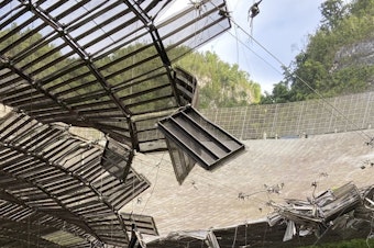 caption: In August a broken cable that supported a metal equipment platform created a 100-foot (30-meter) gash to the Arecibo radio telescope's reflector dish. Giant, aging cables that support the radio telescope are in danger of failing, and the National Science Foundation has announced the telescope will be dismantled.