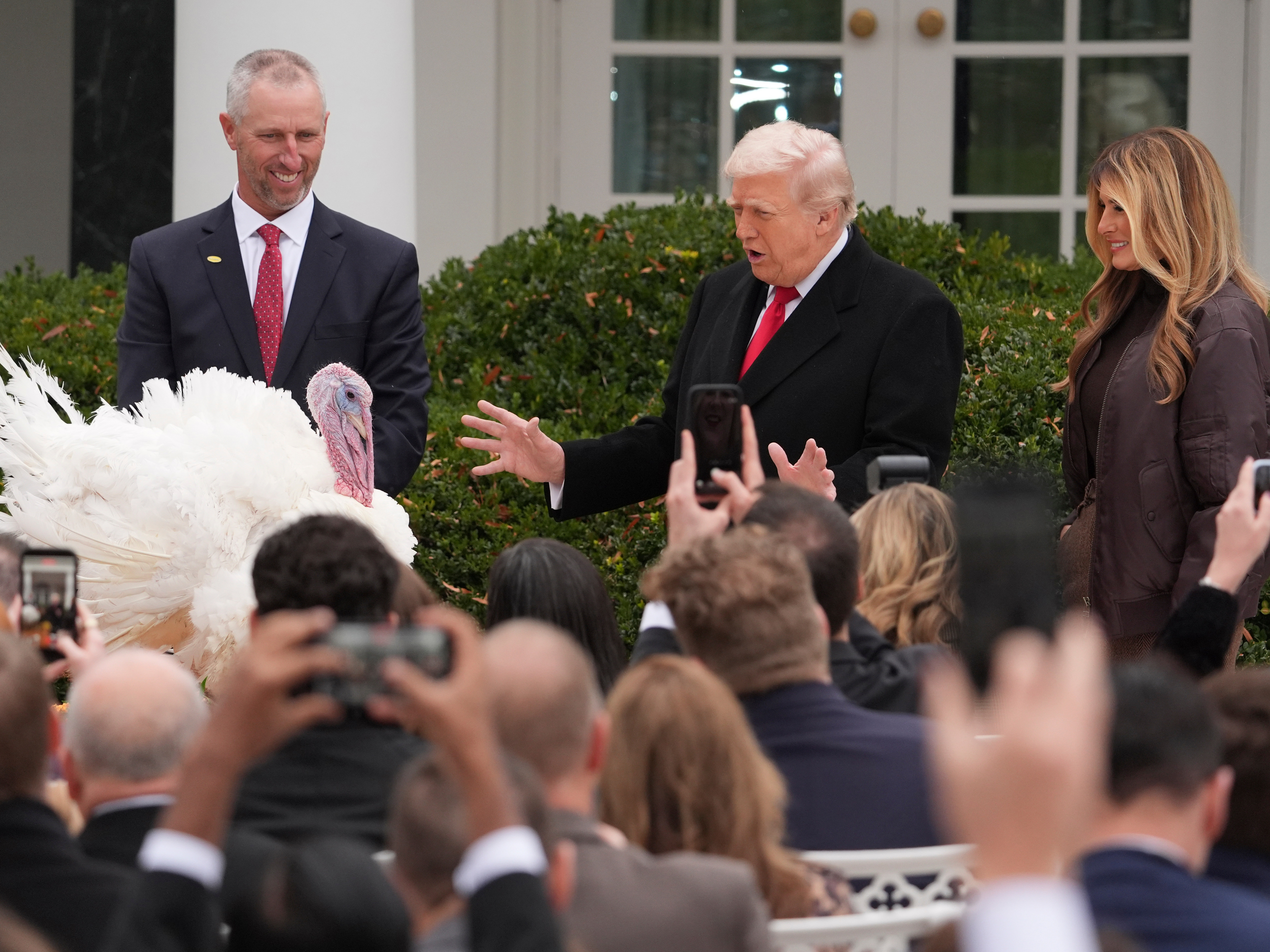 caption: President Donald Trump and first lady Melania Trump, stand next to national Thanksgiving turkey Gobble during a pardoning ceremony in the Rose Garden of the White House, on Tuesday, in Washington.