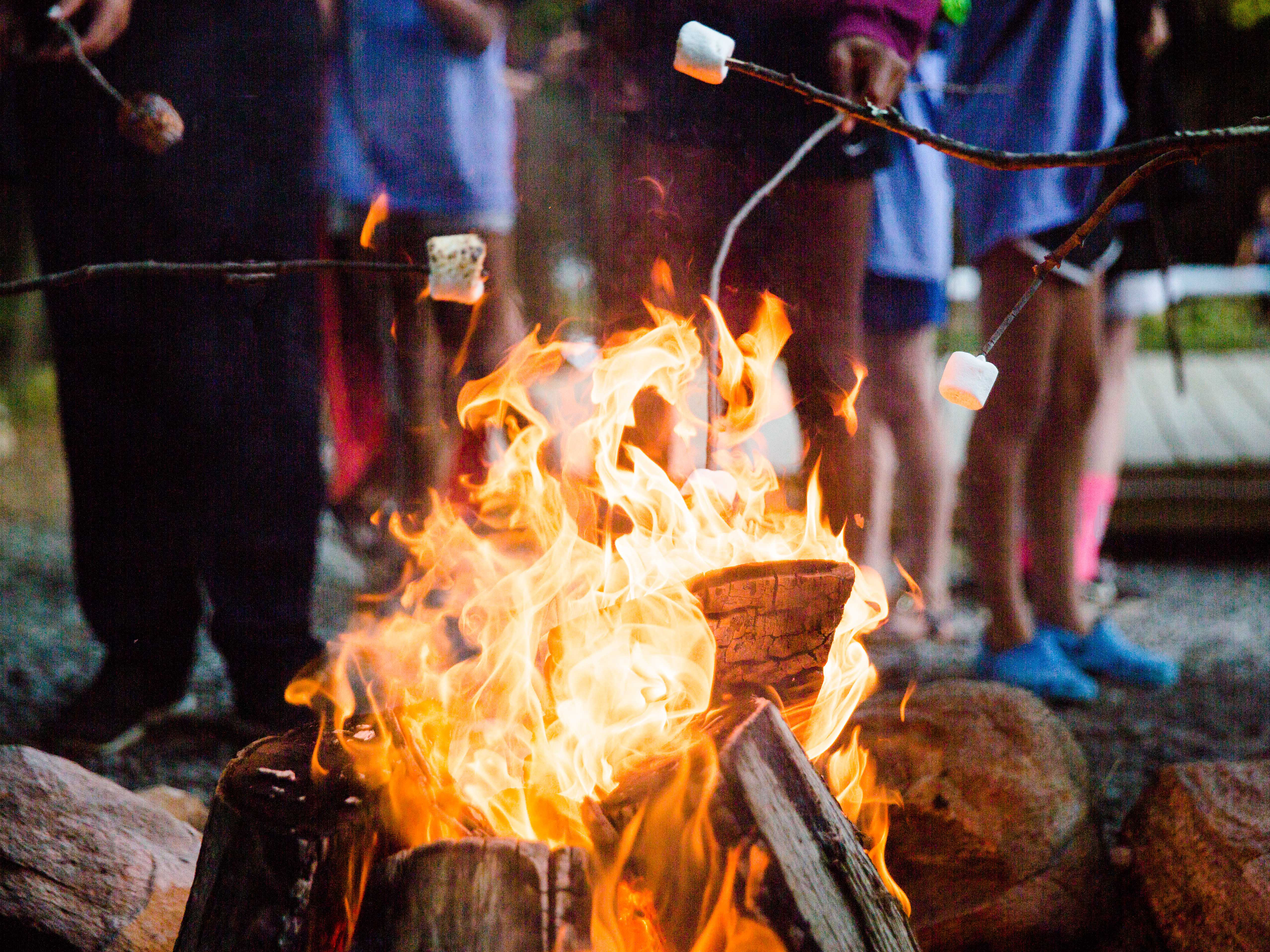 Cooking s'mores around a campfire.