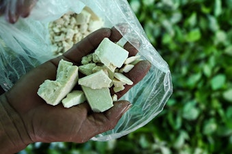 caption: A farmer shows cocaine base paste, made from coca leaves in Colombia's Guaviare department in 2017.