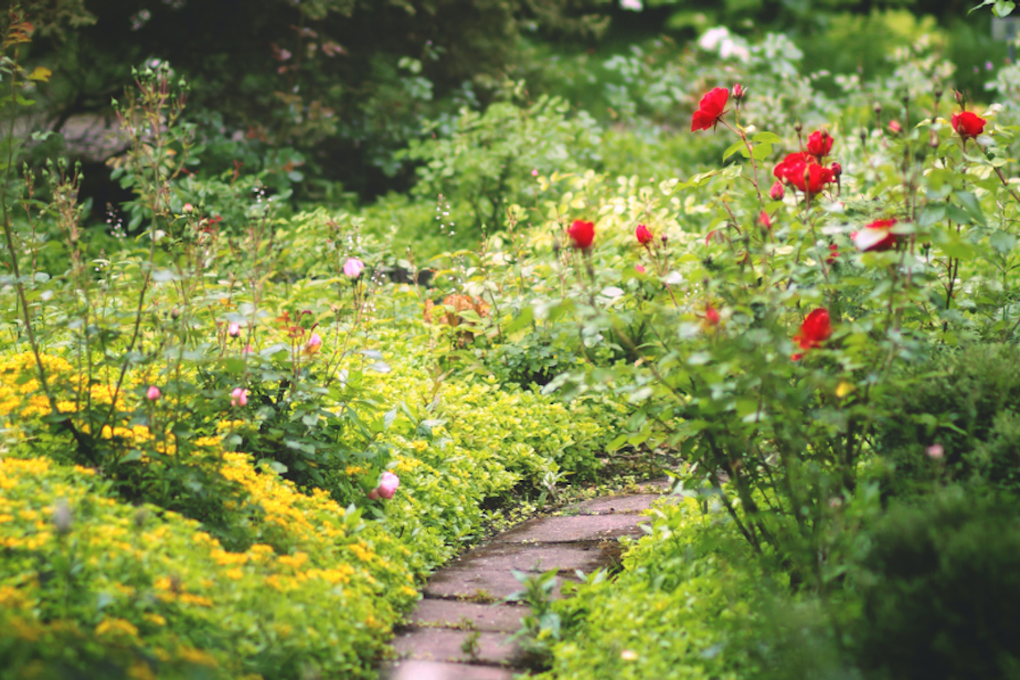 garden gardening