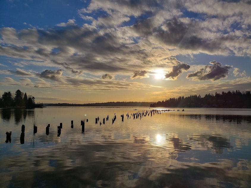 caption: Juanita Bay in Kirkland.