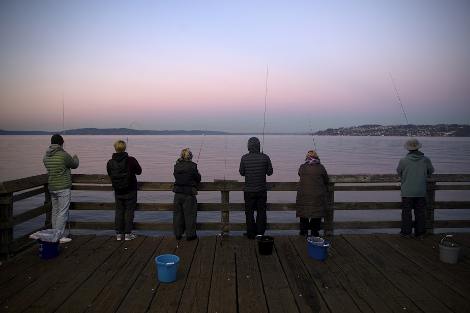 caption: A line of people squid from Les Davis Pier on Friday, Nov. 17, 2023, in Tacoma. 