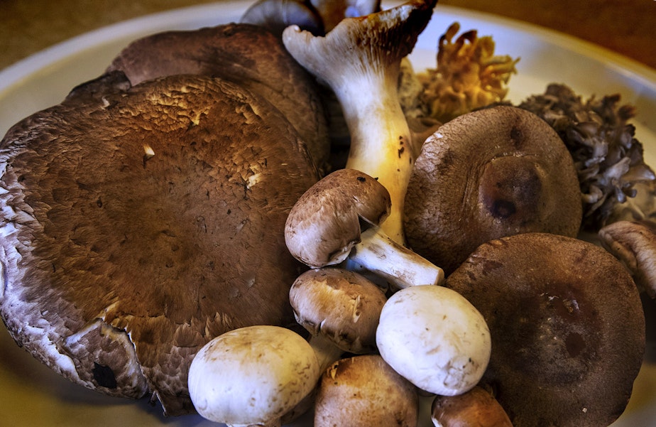 caption: A bounty of mushrooms. (Jesse Costa/WBUR)