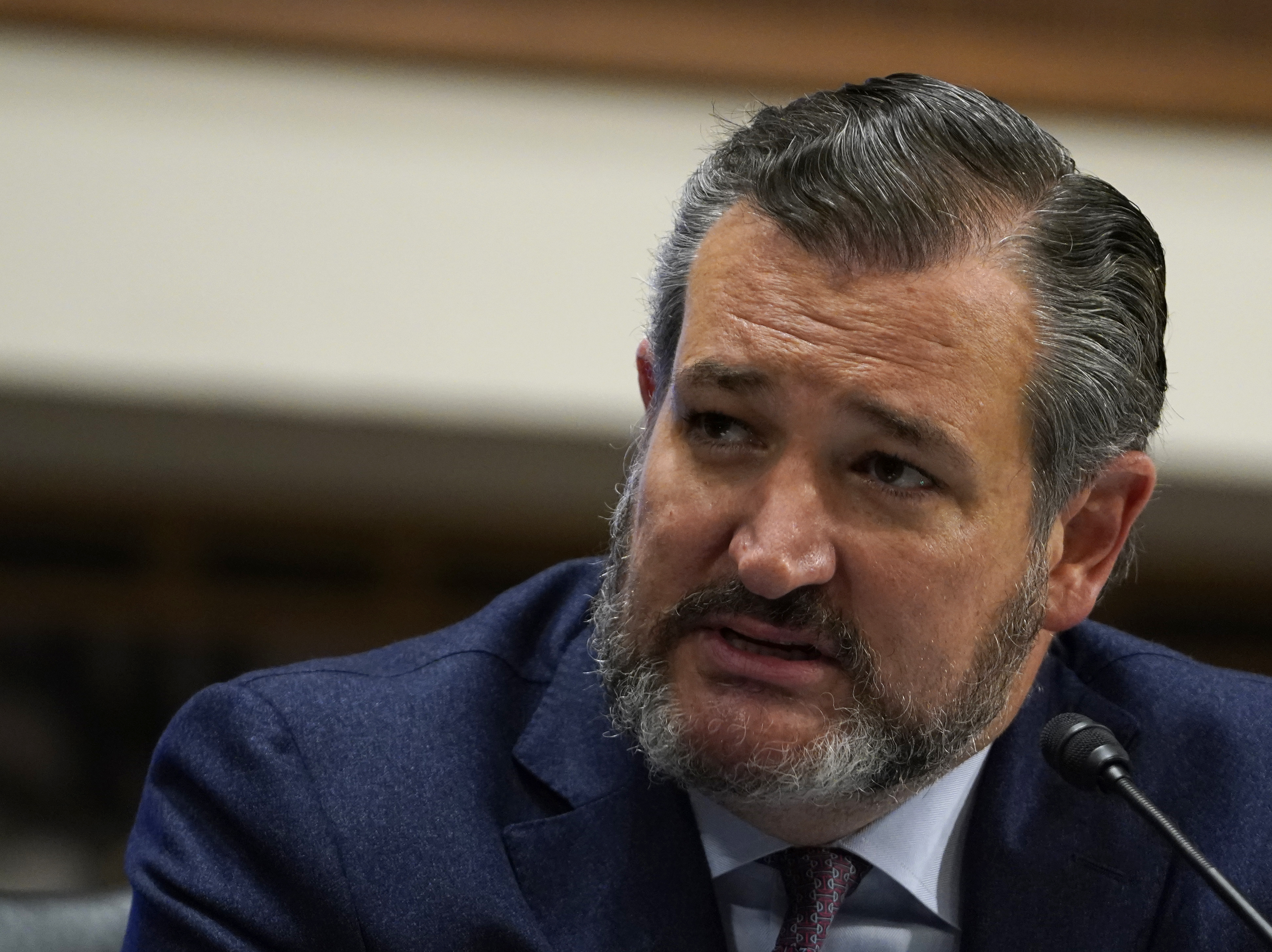 caption: Sen. Ted Cruz, R-Texas, speaks during a Senate Foreign Relations Committee in September.