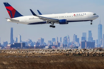 caption: A Boeing 767 passenger aircraft of Delta Air Lines arrives from Dublin at JFK International Airport in New York as the Manhattan skyline looms in the background on Feb. 7, 2024.