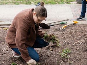 caption: Public Health student Hanna Stutzman helps establish new native plantings at The College of New Jersey.