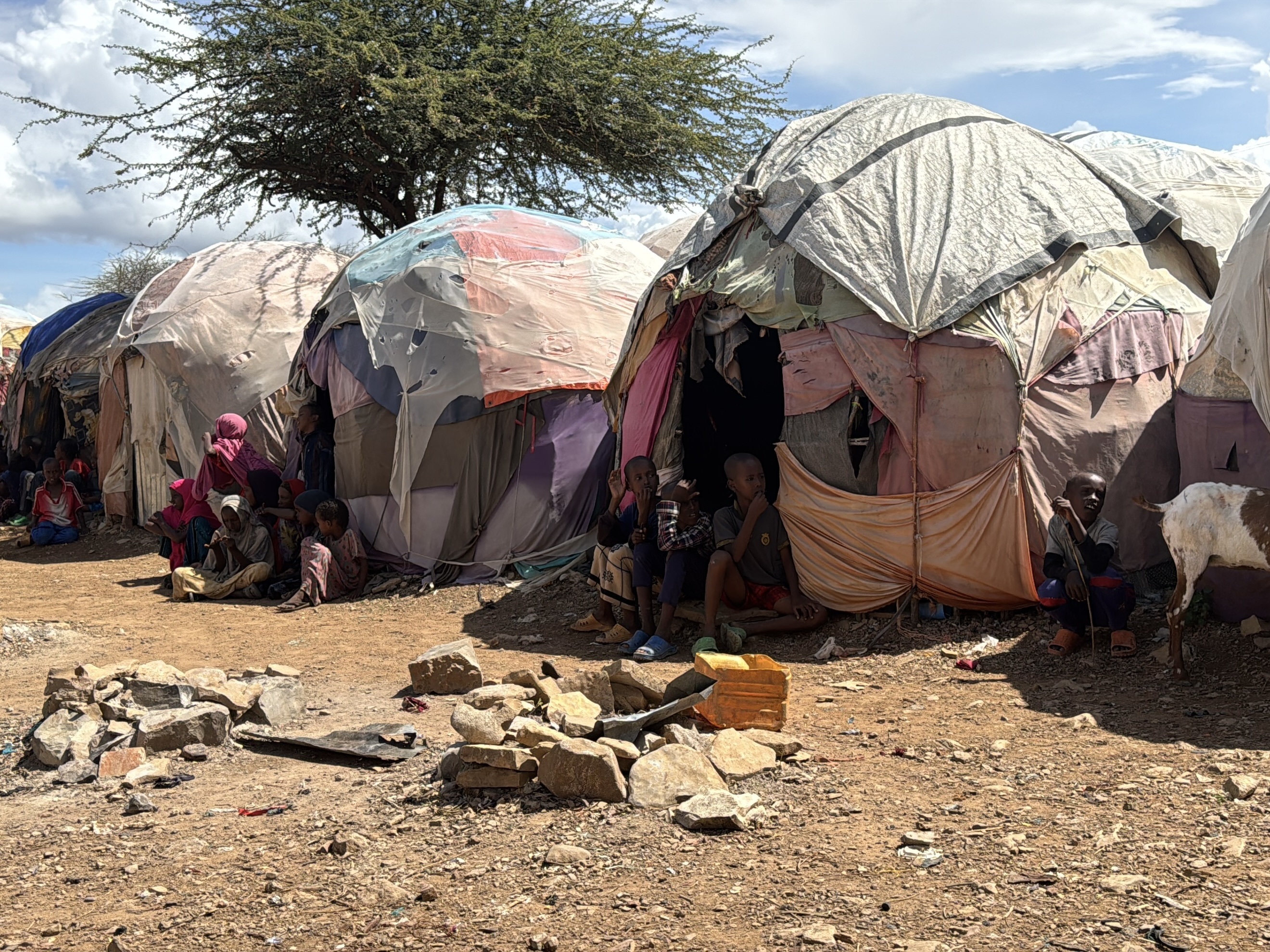caption: Research shows that an anti-poverty program can even work in incredibly difficult circumstances, like in the Somali city of Baidoa, where half of the city's 1.2 million population are internally displaced people.